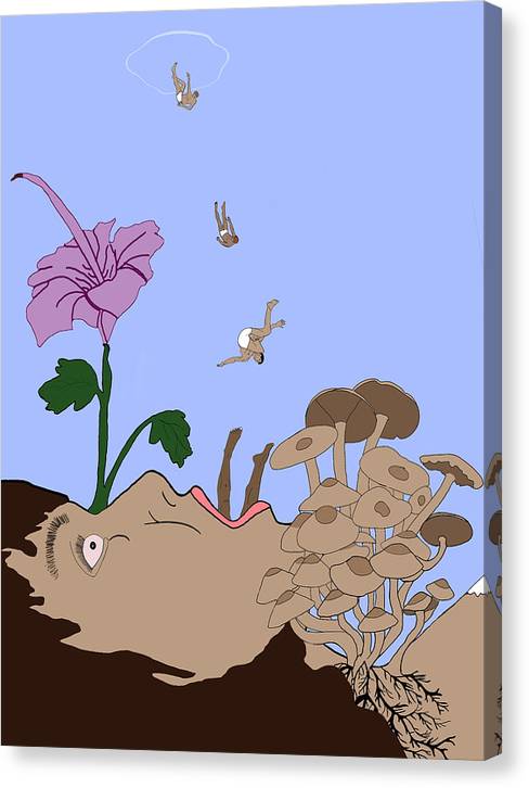 Evolution  - Canvas Print